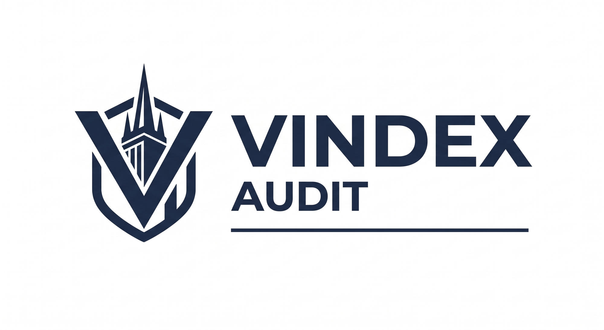Vindex Audit
